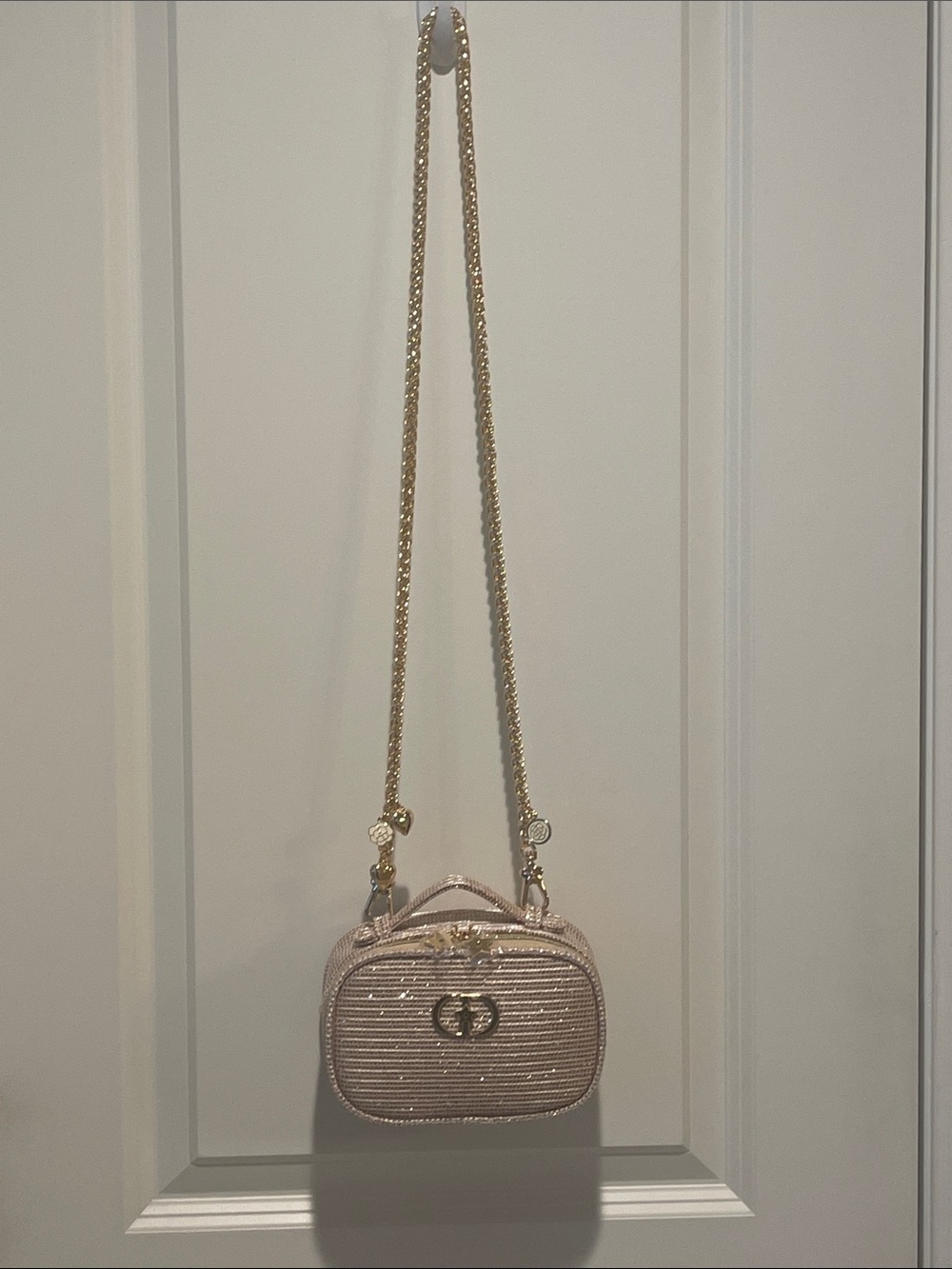 Dior Raffia Crossbody Embellished Bag in Beige with Gold Hardware - Picture 9 of 15